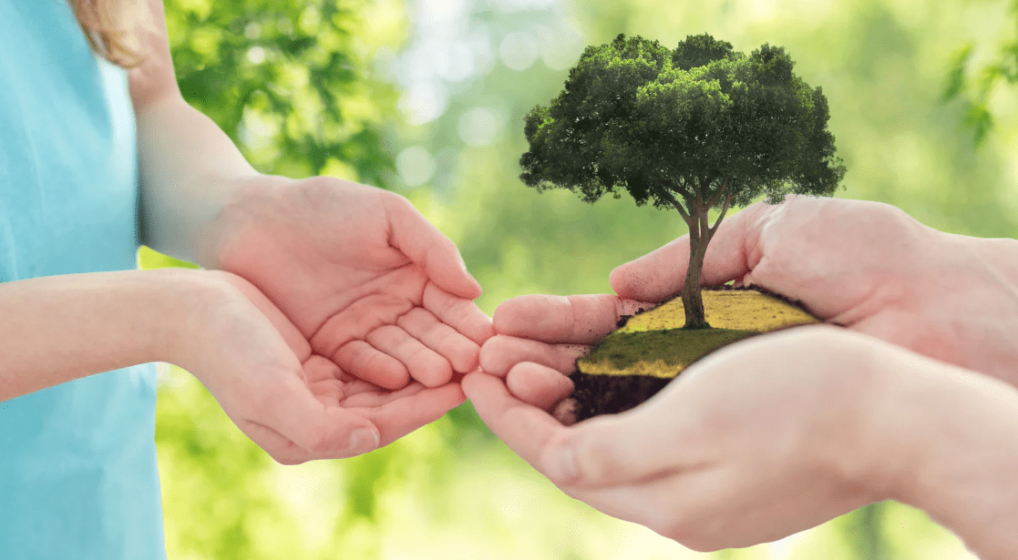 Legacy Blog Legacy Blog